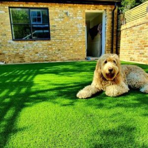 Pet Friendly Synthetic Lawn